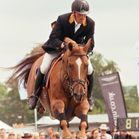 Портфолио Kate Cheal